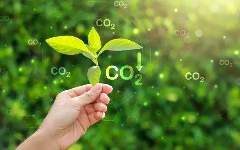 Chiny: Lider emisji CO2 czy zielonej rewolucji?
