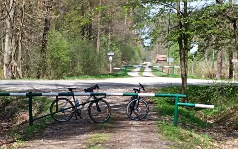 Dwa rowery czekają na odkrycie malowniczych tras rowerowych w Tarnowie. Leśna droga zaprasza do przygody.