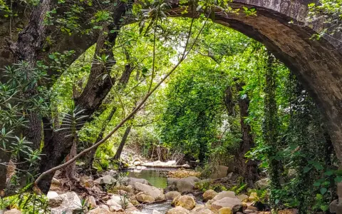 Un arroyo serpentea bajo un puente de piedra cubierto de vegetación, parte de la ruta arroyo de la miel.