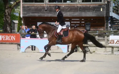 Cavalier en tenue d'équitation sur un cheval brun, en plein saut. Le **cash du Plessis** est visible sur le harnais du cheval.