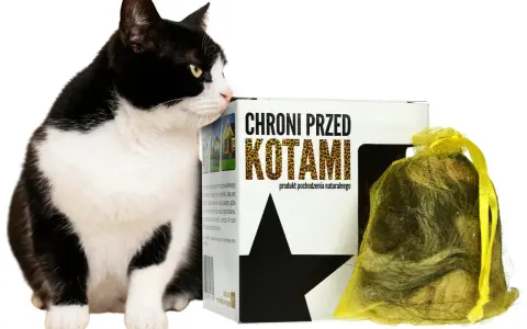 Czarno-biały kot przygląda się opakowaniu z napisem "Chroni przed kotami". To naturalny sposób, co odstrasza koty.