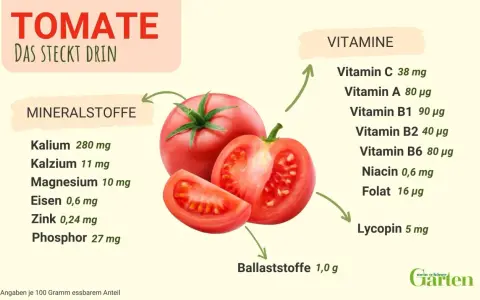 Tomaten sind gesund! Die Grafik zeigt, dass sie reich an Vitaminen wie C und A sowie Mineralstoffen wie Kalium sind.