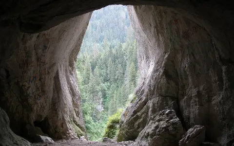 Widok z wnętrza jaskini na gęsty las. Na ścianach jaskini napisy, w tym "jaskinia mylna śmierć".