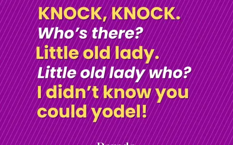 Żółty tekst na fioletowym tle z ukośnymi liniami: "Knock, knock. Who's there? Little old lady. Little old lady who? I didn't know you could yodel!