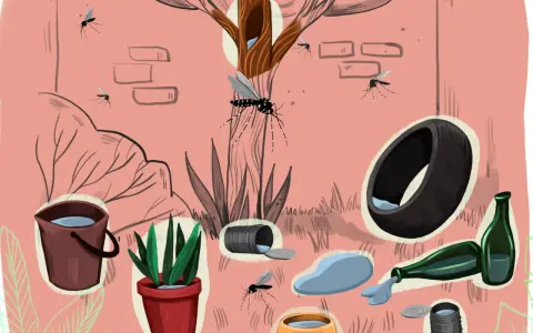 Los mosquitos se reproducen en agua estancada: cubos, macetas, neumáticos, botellas y latas.