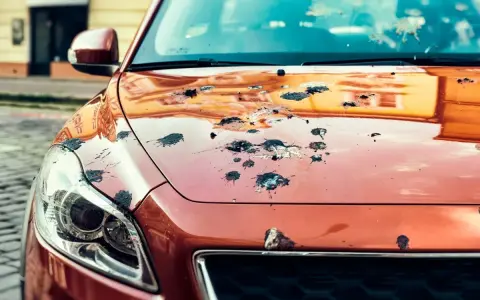 Vogelkot auf rotem Autolack. Ein Fall für die schnelle Reinigung, um hartnäckige rotkohlflecken entfernen zu können.
