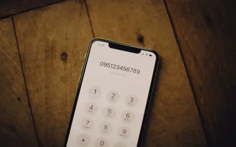 W jakiej sieci numer? Sprawdź operatora w 10 sekund!