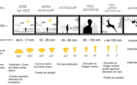 Comparativa de tipos de objetivo de una cámara: ojo de pez, gran angular, estándar, teleobjetivo, tele larga distancia y macro.