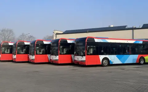 Rzędy czerwonych autobusów z kolorowymi wzorami czekają na swój z1 rozkład jazdy.