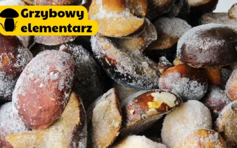 Grzyby gotowe do mrożenia, posypane cukrem pudrem. Dowiedz się, jak przygotować grzyby do mrożenia, by cieszyć się ich smakiem przez cały rok.
