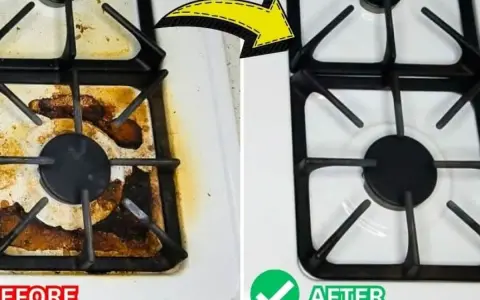 Before and after comparison showing how to clean stove top. The left side is dirty, the right side is sparkling clean.