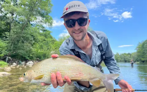 Glad fångst vid fly fishing. En man håller upp en fin fisk i en solig älv.