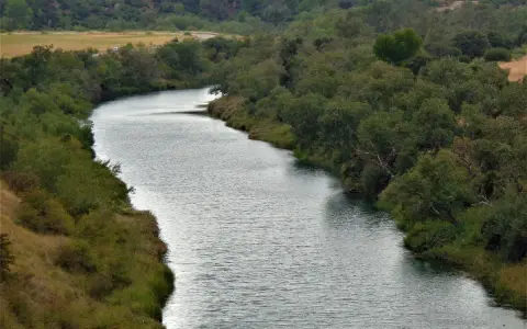 El río serpentea a través del parque fluvial de Zorita de los Canes, rodeado de exuberante vegetación y colinas boscosas.