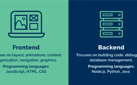 Grafika porównuje frontend (projektowanie interfejsu, np. strony z grafikami) i backend (logika aplikacji, bazy danych).