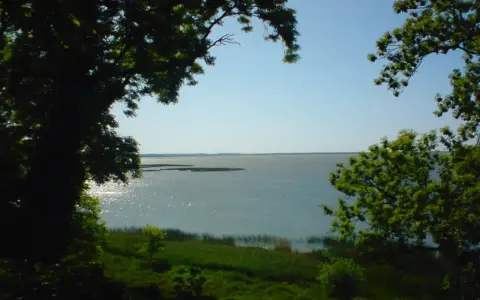 Widok na jezioro obok gardna i sarbska, z drzewami w tle i zieloną trawą na pierwszym planie.