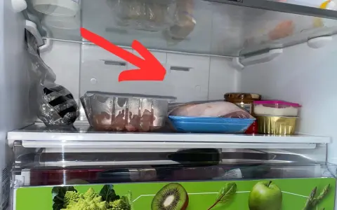 Woda w lodówce? Zatkany odpływ? Udrożnij go sam w 5 krokach!