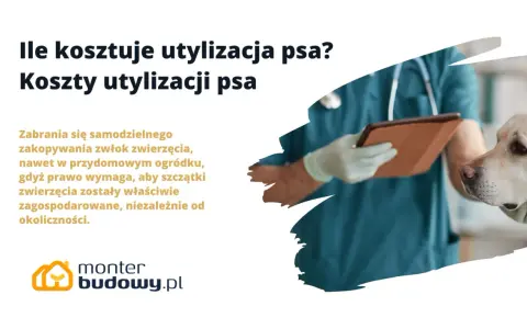 Koszty kremacji psa: Ile kosztuje godne pożegnanie pupila?