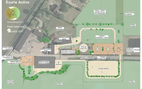 Plan construction écurie : détail des paddocks, carrière, bâtiments existants, ferme pédagogique et pâtures.