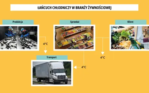 Łańcuch chłodniczy w branży żywnościowej: produkcja, transport, sprzedaż i klient. Utrzymanie 4°C zapobiega psuciu się produktów.