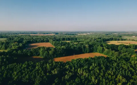 Krajobraz z lotu ptaka: lasy, pola uprawne i błękitne niebo. Idealne miejsce, by dowiedzieć się, jak sprawdzić status działki.