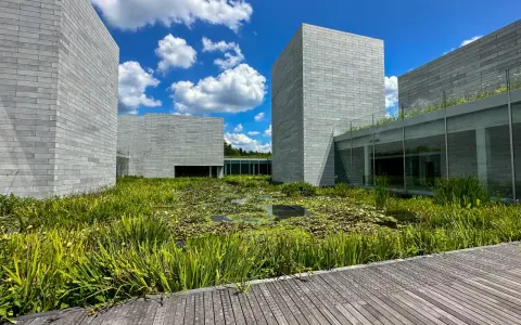 Modern architecture at Glenstone Museum, with grey brick buildings surrounding a lush pond filled with water lilies and reeds.