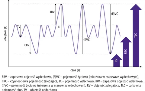 Wykres przedstawia spirometrię, badanie oceniające pojemność płuc. Pokazuje różne objętości oddechowe, takie jak TV, ERV, IRV, IC, RV, FRC, TLC i VC.
