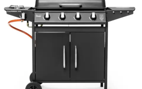 Grille Activa Mastercook: Jaki model wybrać? Recenzje i opinie