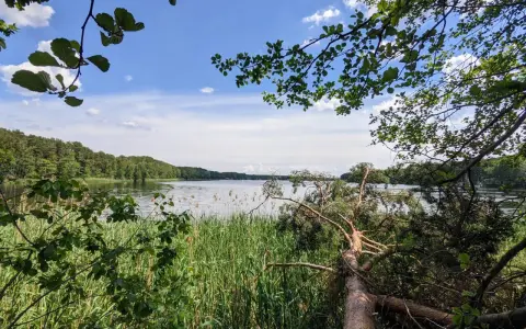 Spokojne jezioro sławskie otoczone zielenią. Gałęzie drzew zwisają nad wodą, a trzciny szumią na brzegu.