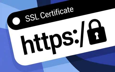 SSL Certificate: https:// z kłódką. Tak sprawdzisz, jak sprawdzić czy link jest bezpieczny.