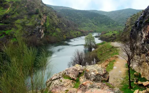 Un río serpentea entre cañones verdes, parte de la ruta cañones del río Lozoya. Un camino de tierra bordea la orilla.