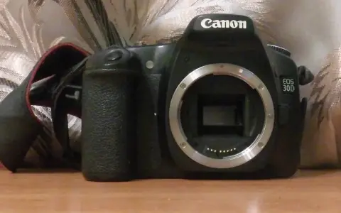 Lustrzanka Canon EOS 30D – poznaj jej mocne i słabe strony