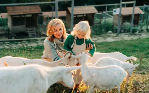 Kobieta i dziecko karmią kozy na farmie. Idealne wczasy pod gruszą, pełne słońca i zwierząt.