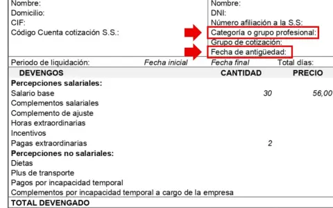 Recibo de nómina. Destaca "Grupo de cotización" y "Fecha de antigüedad", indicando que el grupo 08 se refiere a la cotización del trabajador.