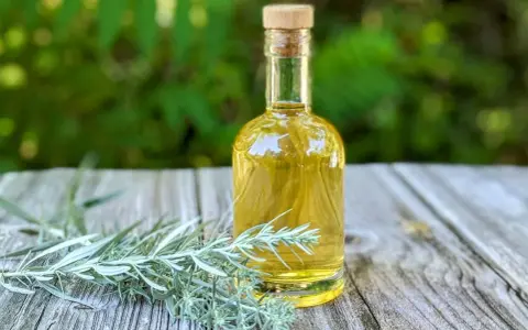 Eine kleine Glasflasche mit gelblicher Flüssigkeit und einem Korkverschluss steht neben frischen Wermut-Zweigen auf einem Holztisch. Ein altes Wermut Rezept zum Nachmachen.