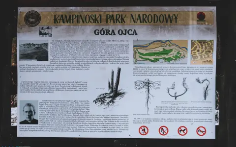 Kampinoski Park Narodowy, Góra Ojca - wydmy śródlądowe, sosny na "kurzych łapkach", historia ks. Korniłowicza.