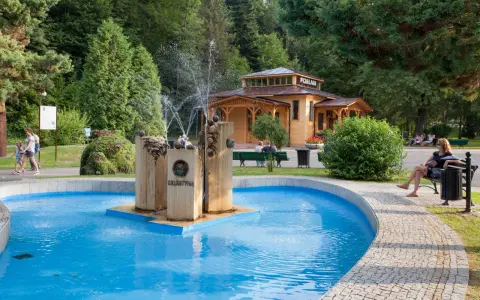 Uzdrowiskowy park w Rymanowie Zdroju z pijalnią i fontanną Celestyna. Sanatoria w tle.