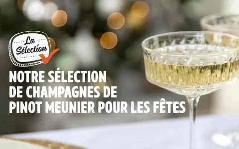 Notre sélection de champagnes de Pinot Meunier pour les fêtes. Des bulles fines pour célébrer.