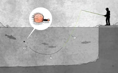 Illustration einer fliegenfischen montage: Ein Angler wirft eine Fliege, die im Detail gezeigt wird, ins Wasser, wo Fische schwimmen.