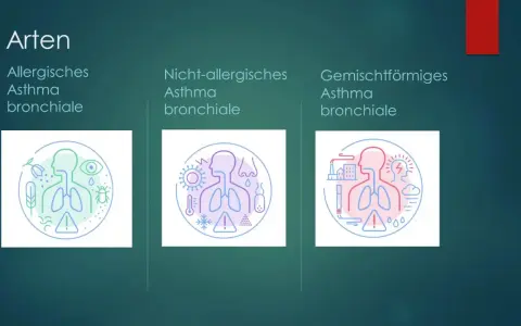 Arten von Asthma: allergisch, nicht-allergisch, gemischt. Illustrationen zeigen Auslöser wie Pollen, Viren, Kälte, Hitze, Umweltverschmutzung, die das Herz und die Lunge beeinflussen können.