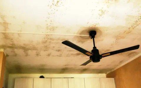 Soffitto con macchie di muffa, un ventilatore a soffitto nero. La muffa sul soffitto fa male alla salute.