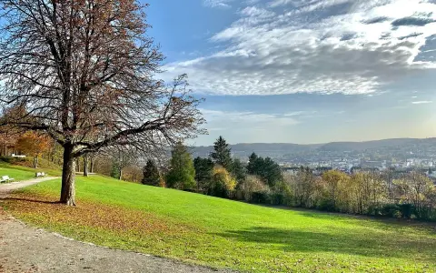Herbstlicher Blick über den **Nordpark Wuppertal** mit einem kahlen Baum im Vordergrund und der Stadt im Tal.