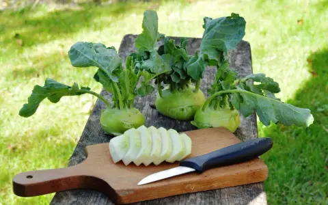 Frisch geernteter Kohlrabi liegt auf einem Holztisch. Ein Teil ist bereits geschnitten, bereit zum Kohlrabi blanchieren.