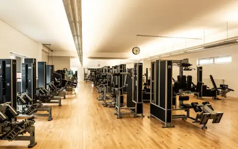 Reihe von Krafttrainingsgeräten in einem hellen Fitnessstudio. Ideal für Krafttraining bei Hexenschuss zur Stärkung der Rumpfmuskulatur.