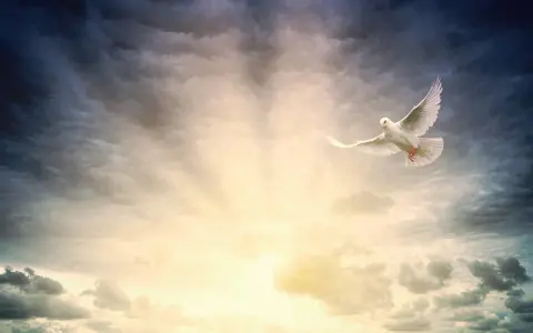 Weiße Taube fliegt durch dramatische Wolken, ein Symbol für Ostern, Himmelfahrt und Pfingsten.