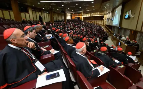 Wielu kardynałów w czerwonych biretach i czarnych szatach siedzi w amfiteatrze, słuchając przemówienia podczas ważnego konsystorza.