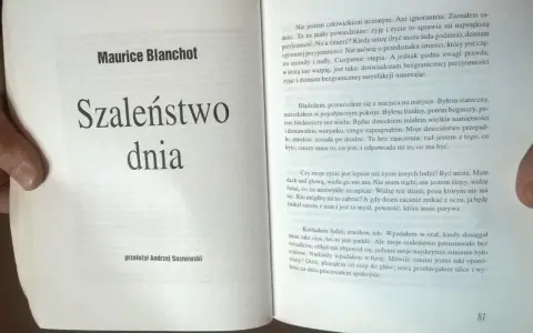 Książka "Szaleństwo dnia" Maurice'a Blanchota. Opowiadania erotyczne pierwszy raz mogą być inspiracją do refleksji nad życiem i jego przemijaniem.