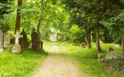 Sentier verdoyant menant à travers le cimetière dormant de Caen, bordé de tombes anciennes et d'arbres majestueux.