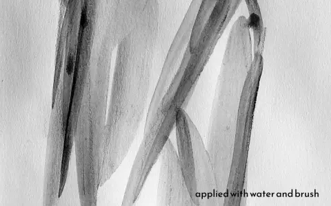 Abstraction en noir et blanc, évoquant la poudre de graphite utilisation dans une œuvre d'art fluide, appliquée à l'eau et au pinceau.