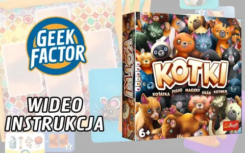 Jak grać w Kotki - Proste zasady i skuteczne strategie na start
