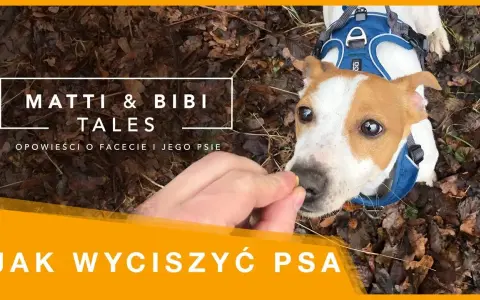 Jak wytresować psa żeby nie gryzł i cieszyć się spokojem w domu